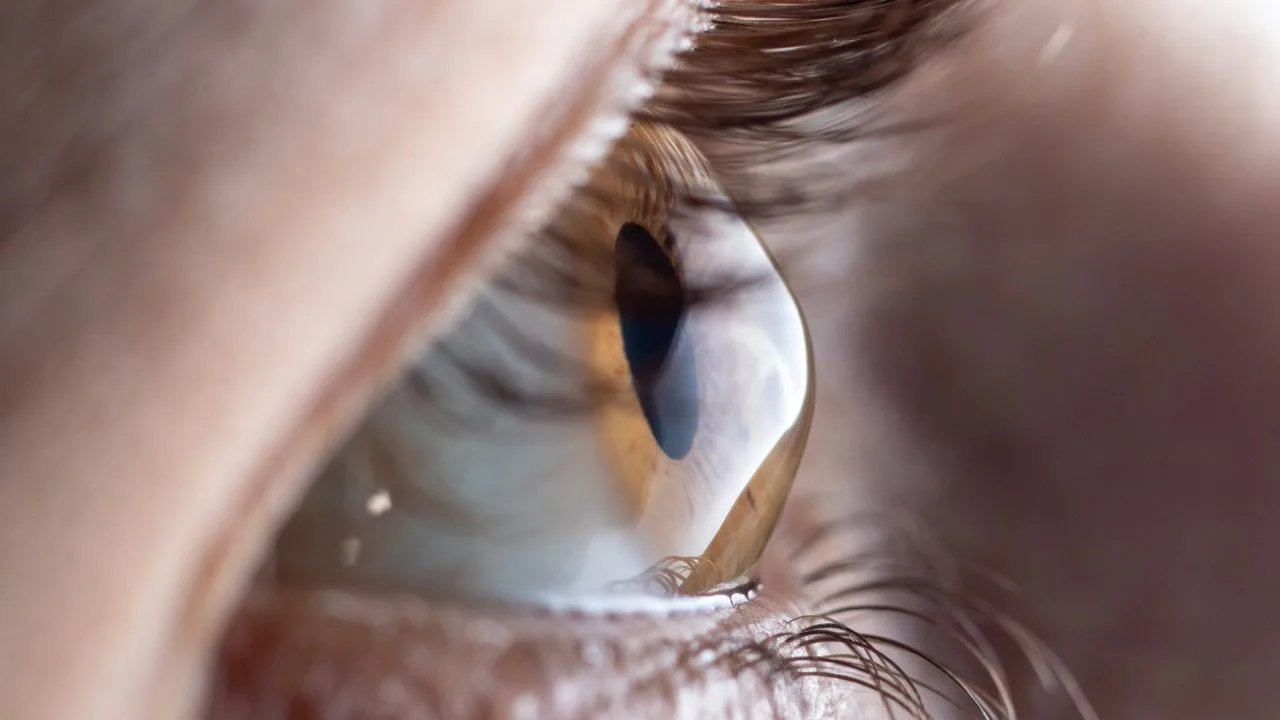 Profile of an eye illustrating corneal curvature